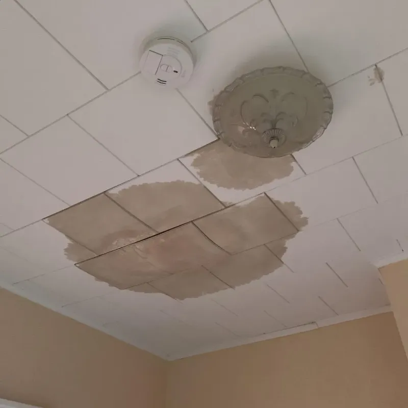 Ceiling Water Damage Repair in New London, NH