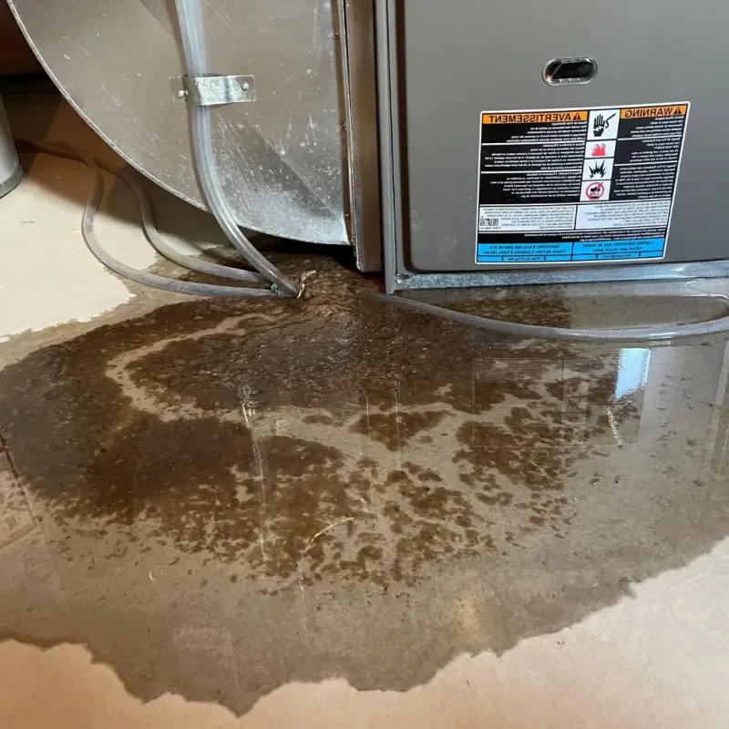 Pipe Burst and Leak Restoration in New London, NH