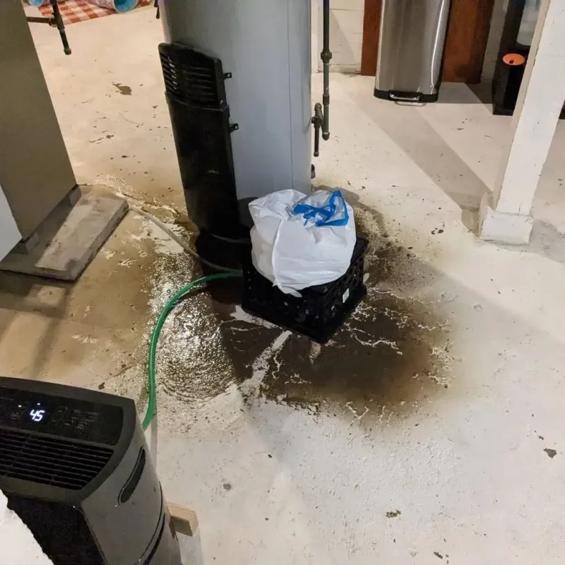 Sewage Backup Cleanup Service in New London, NH